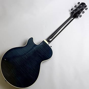 Sadowsky LS-15 フルアコ サドウスキー・ギター 楽天市場】Sadowsky LS-15 Violin Burst 国産 フルアコ